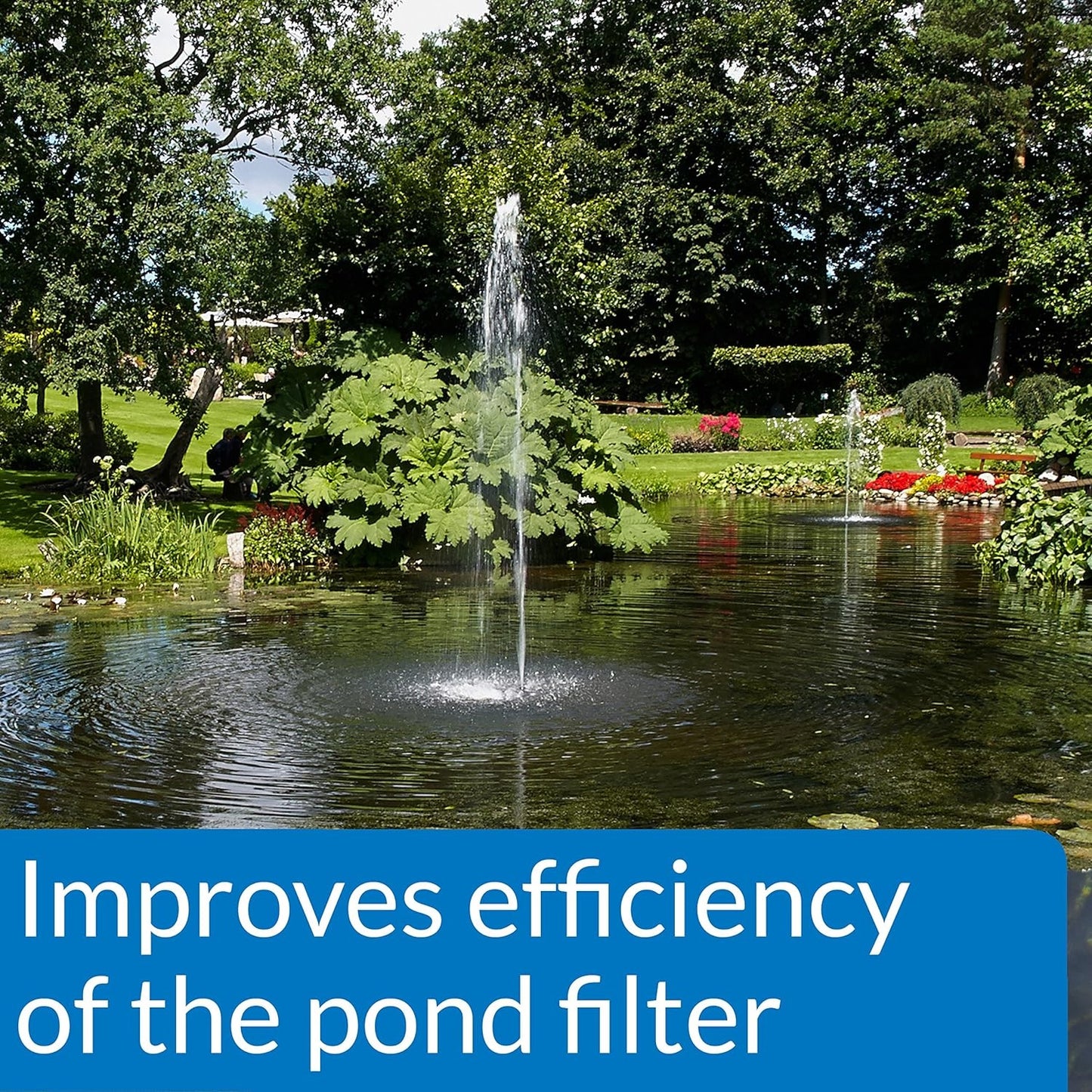 API Accu-clear Pond 16 oz (Quickly Clears Pond Water)