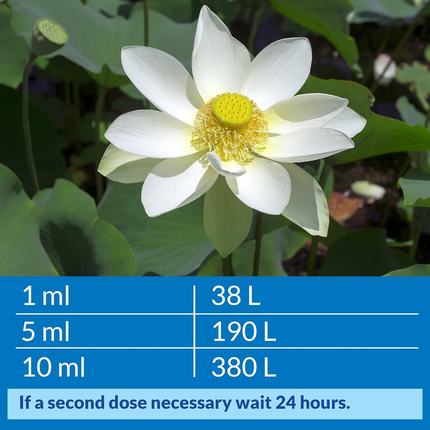 API Accu-Clear (Clears Cloudy Aquarium Water)