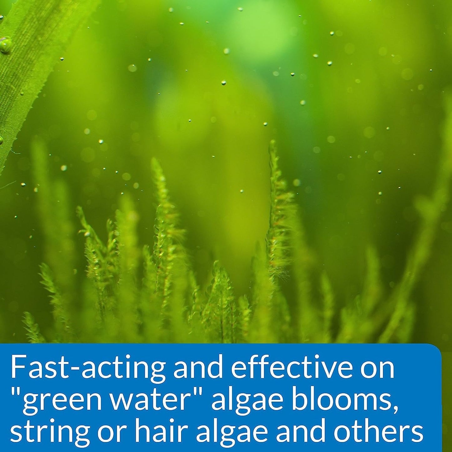 API Algaefix (Controls Algae Growth)