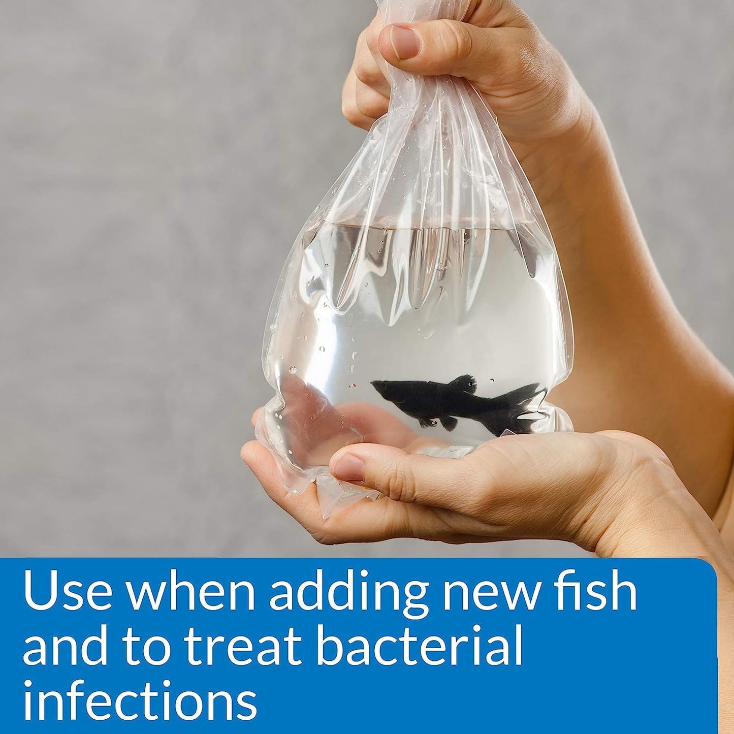 API Melafix (treats Bacterial Fish Infection)