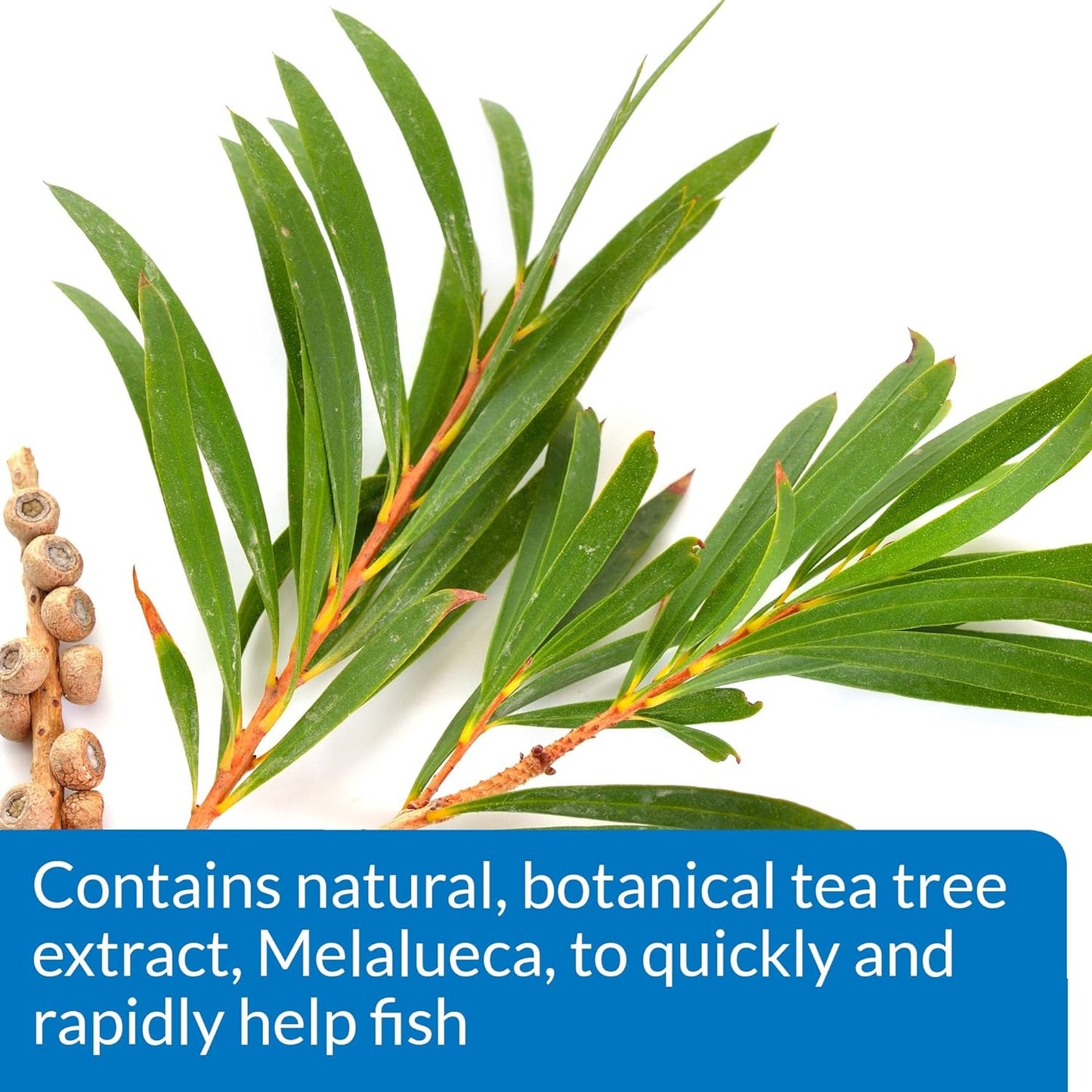 API Melafix (treats Bacterial Fish Infection)