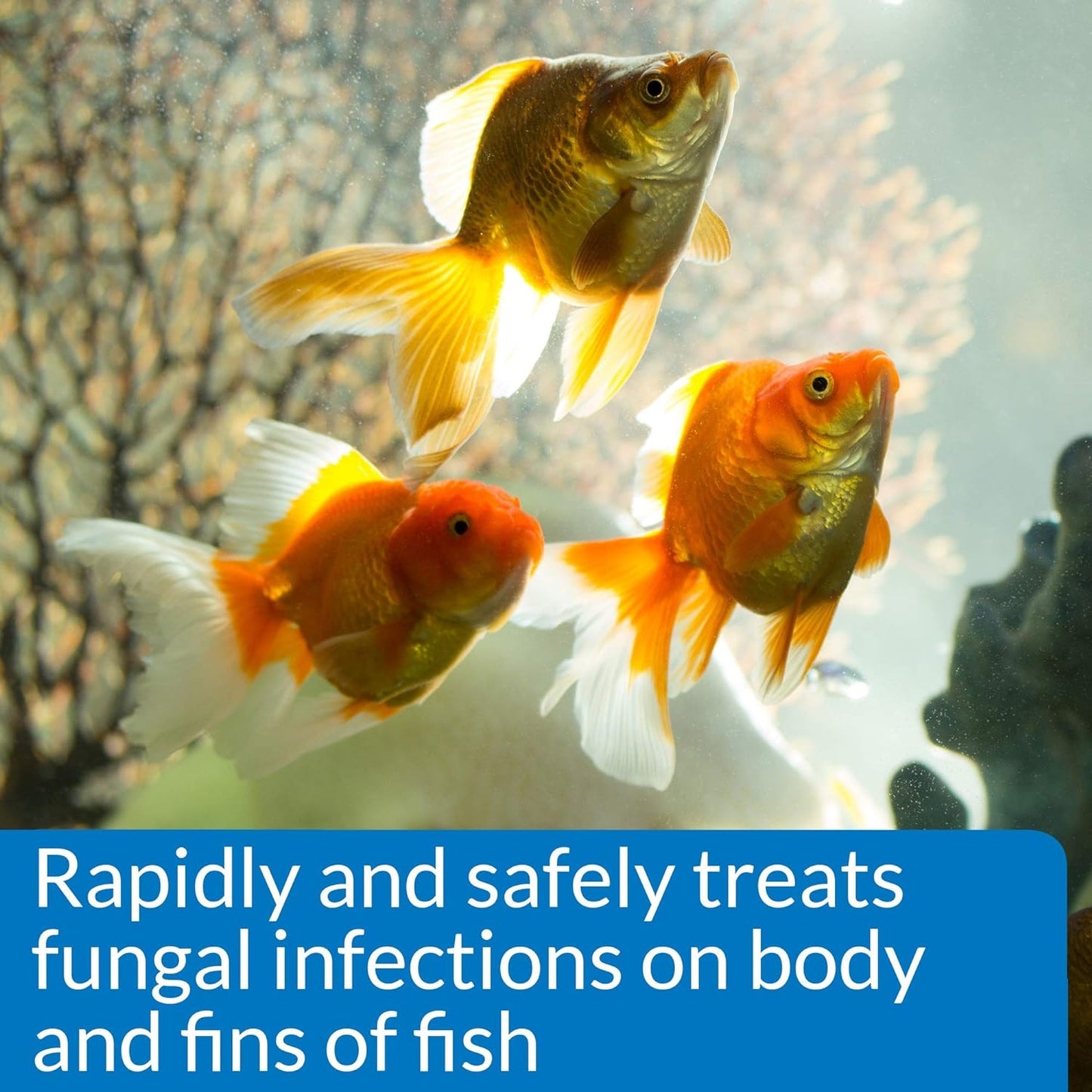 API Pimafix (Treats Fungal Infections)