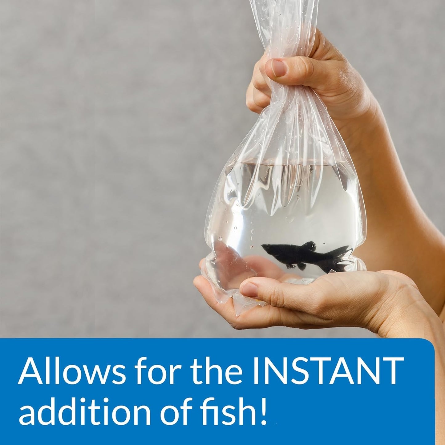 API Quick Start (Immediately Starts Aquarium Cycle)