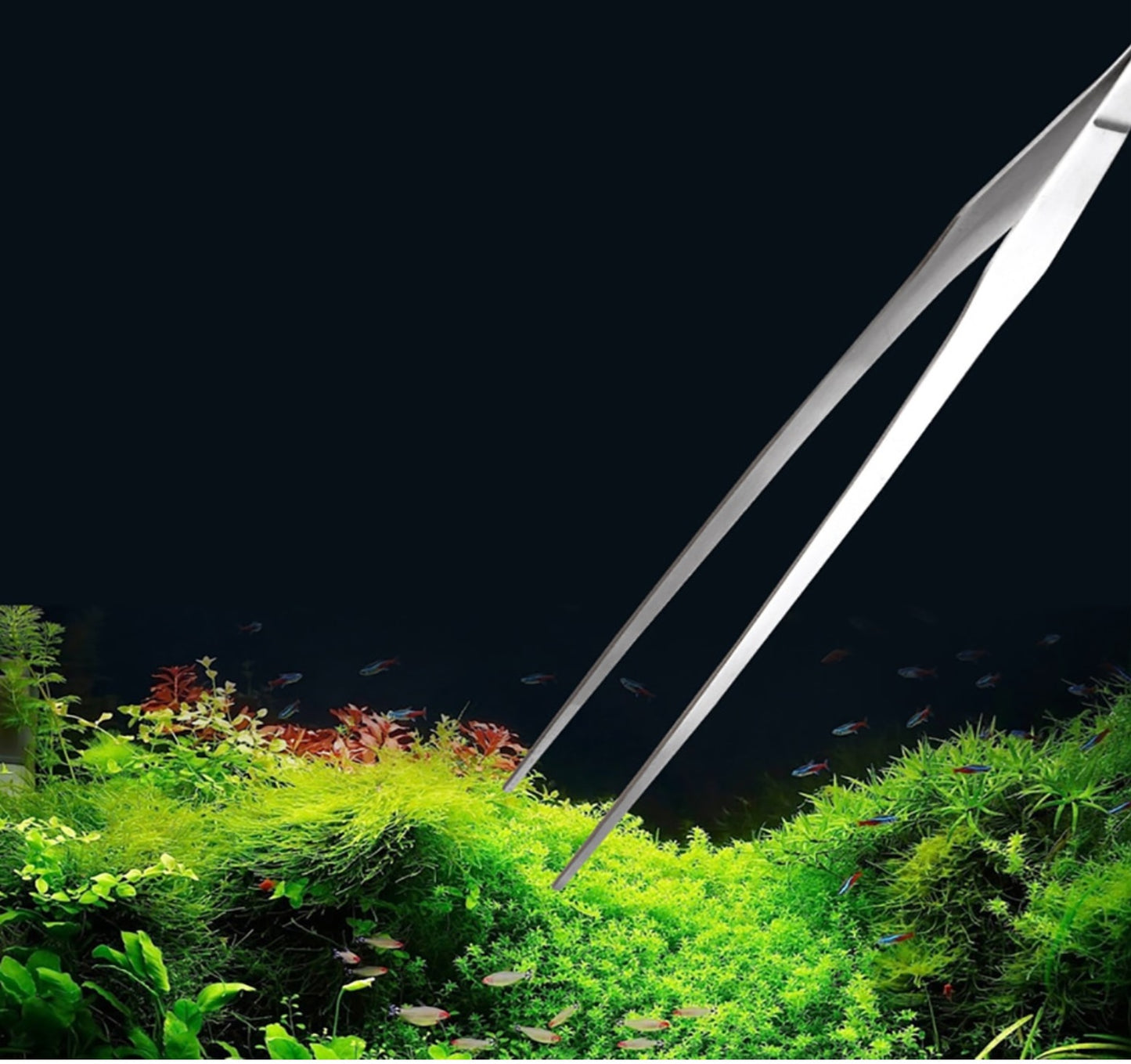 Aquarium Landscaping Set (5pcs)