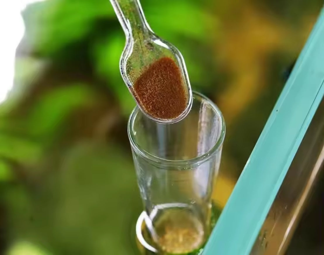 Aquarium Shrimp Feeder Tube with Dish