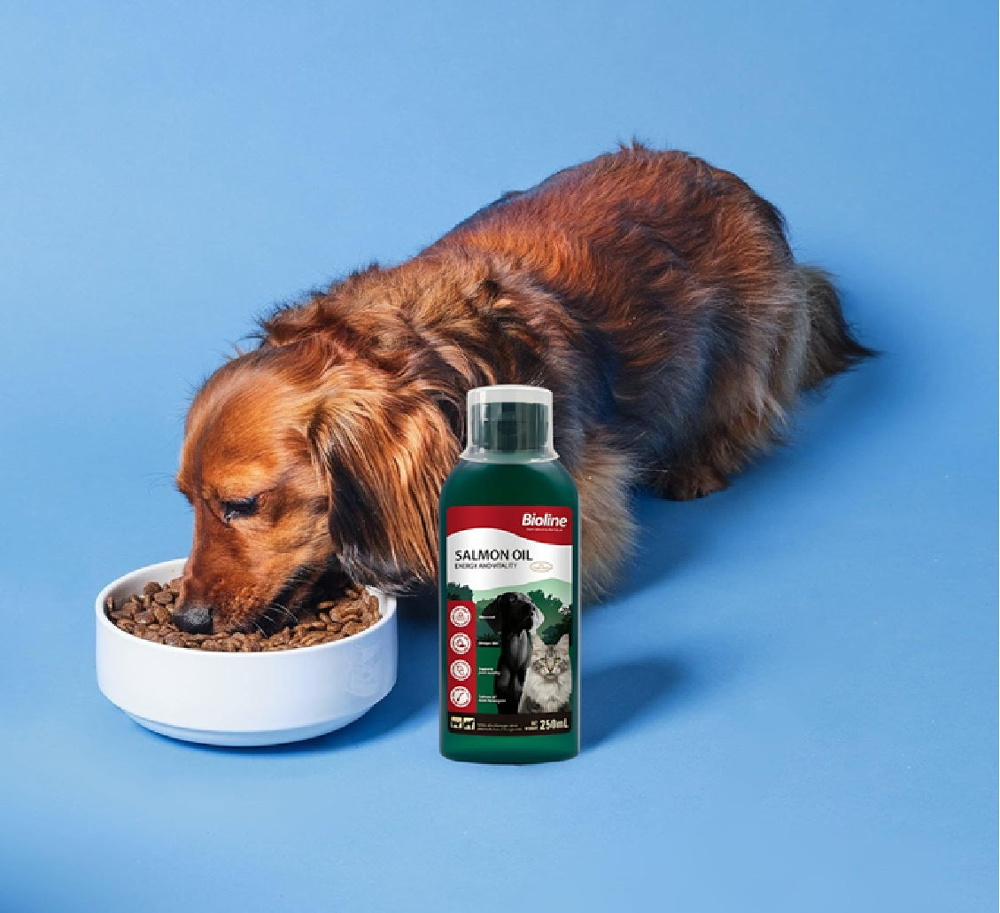 BIOLINE Norwegian Salmon Oil - 250mL