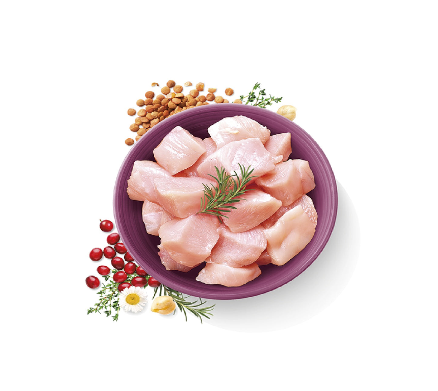 CARNILOVE True Fresh Chicken for Adult Cats