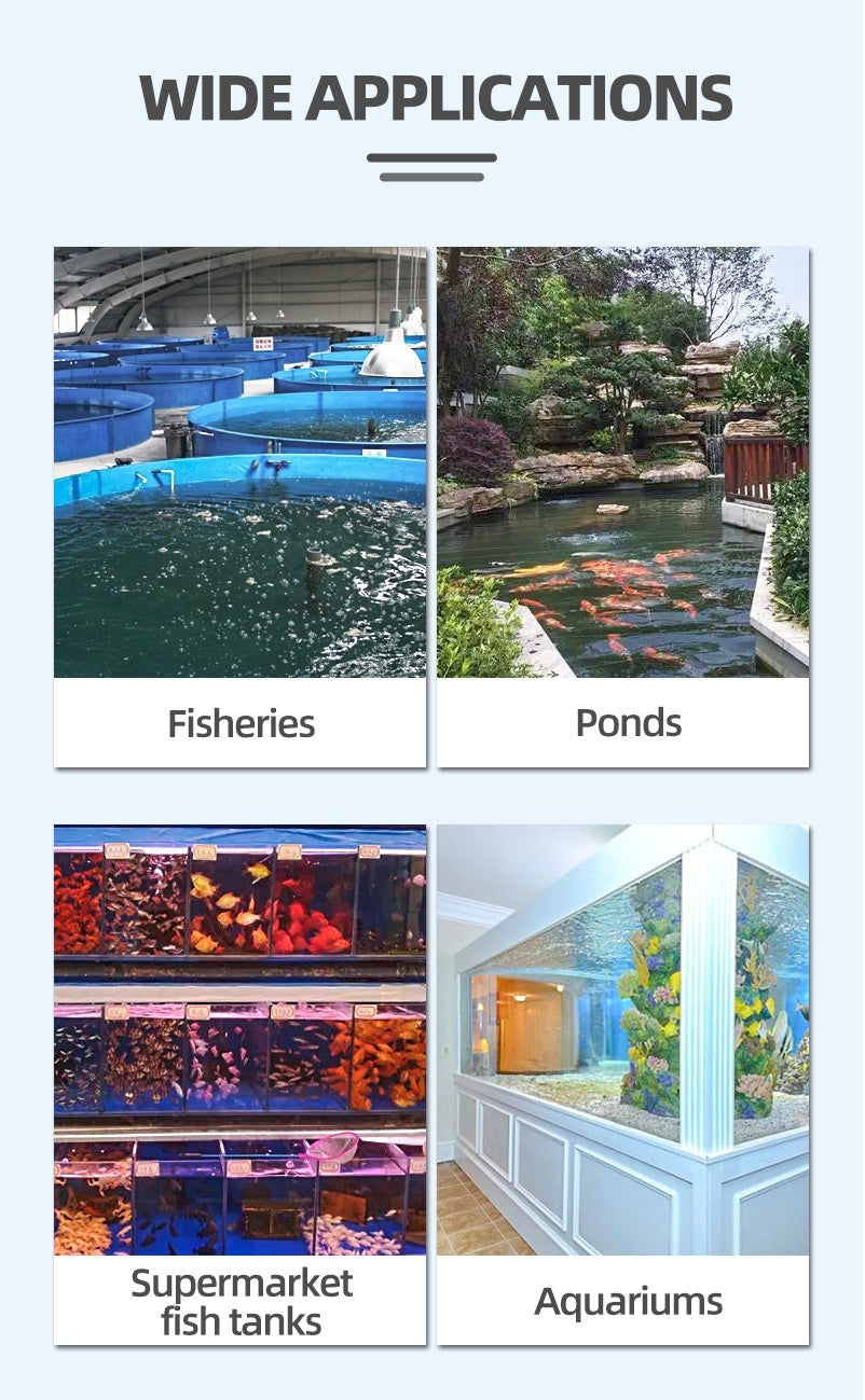 CHANING Pond Airpump