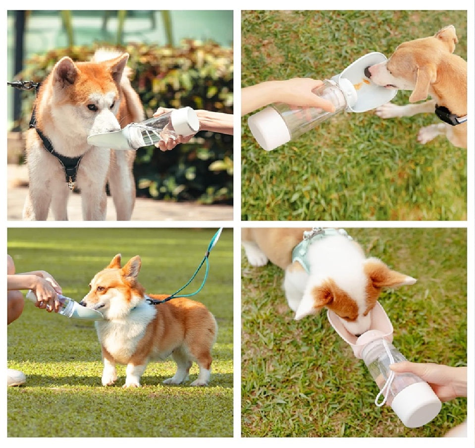 DOGNESS Water Bottle with Food Storage