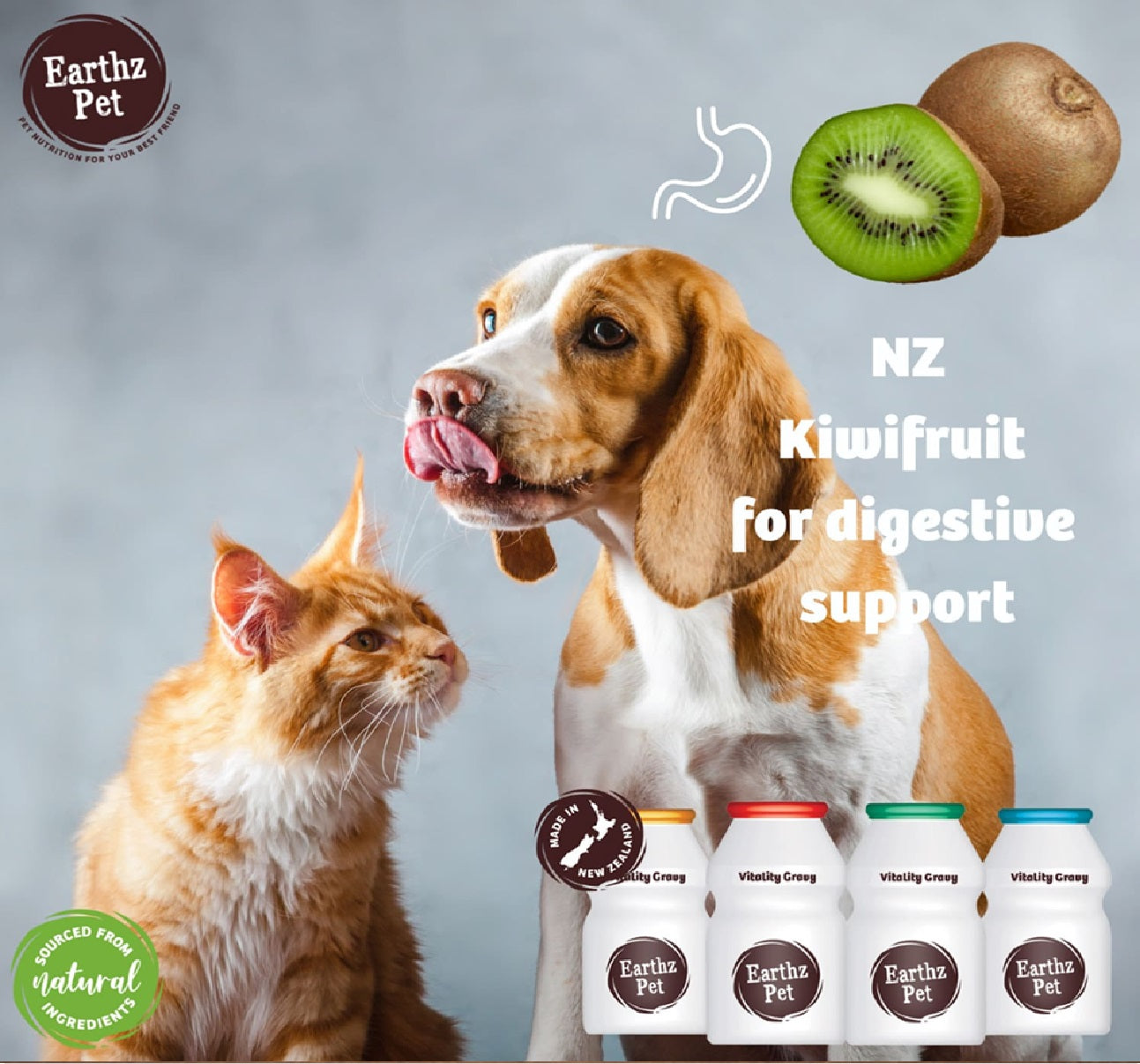 EARTHZ PET New Zealand Beef Health Topper for Dogs - 3 x 35mL