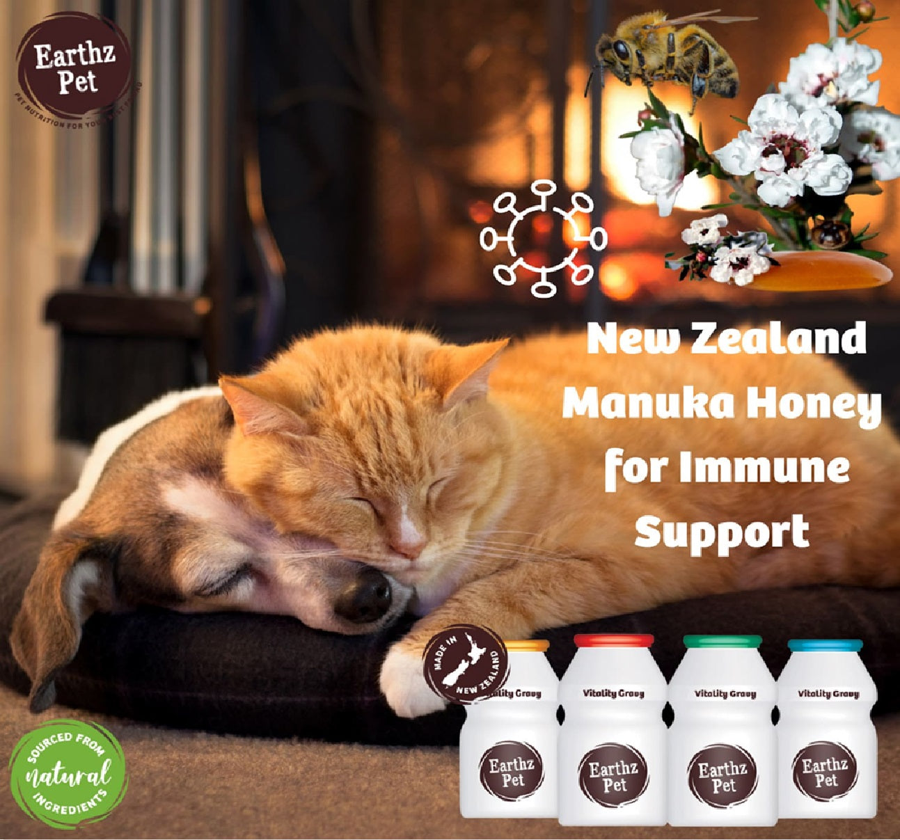 EARTHZ PET New Zealand Beef Health Topper for Cats - 3 x 30mL