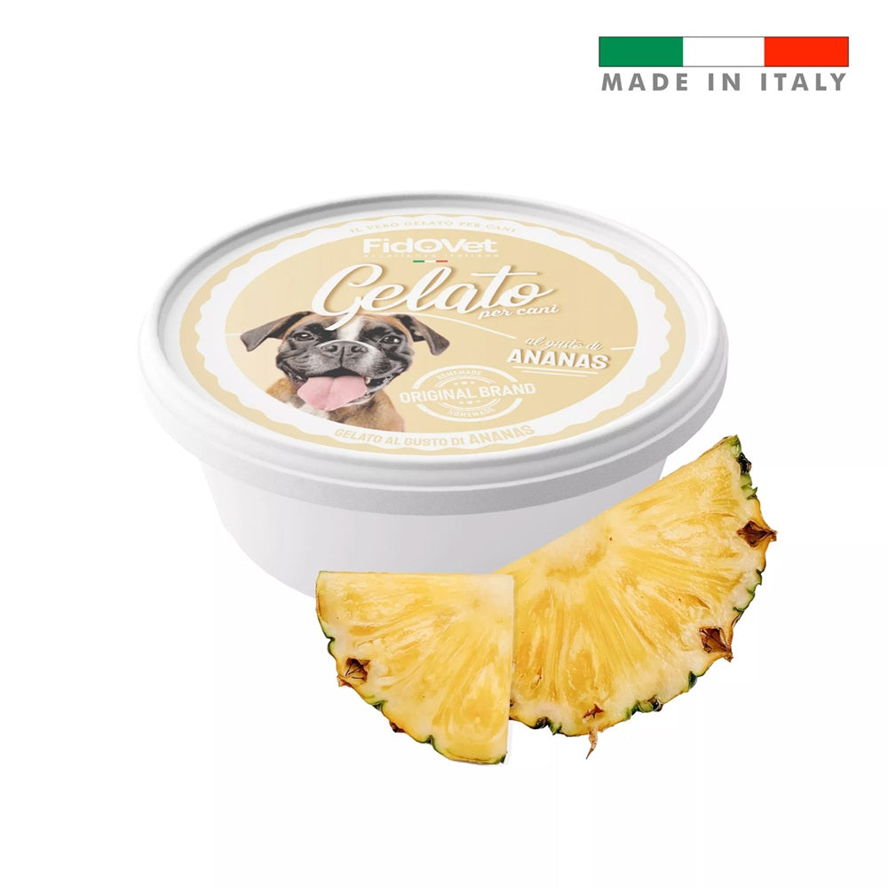 FIDOVET Gelato Ice For Dogs (different flavors)