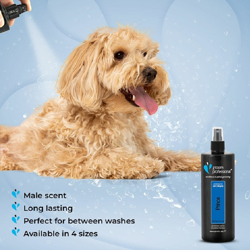 GROOM PROFESSIONAL Prince Cologne - Perfume