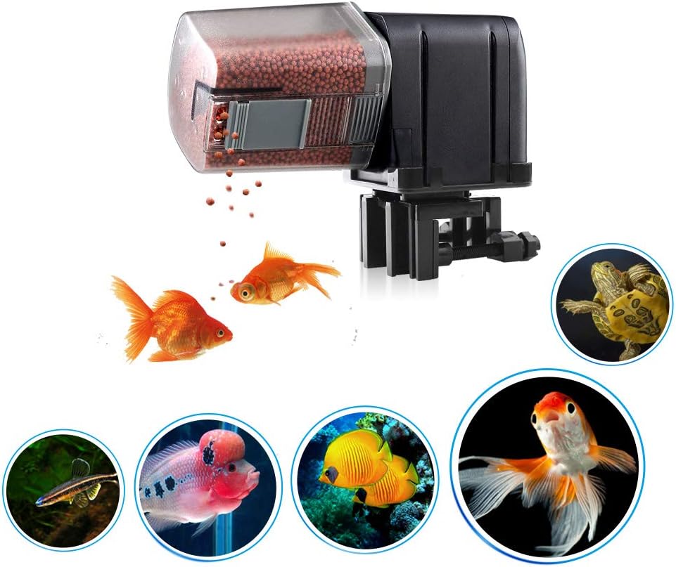 ILONDA L88 Wifi Auto Fish Feeder