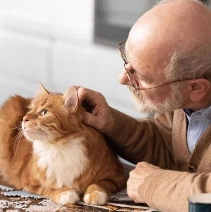 PRO-NUTRITION Prestige Kitten With Fish - 2kg