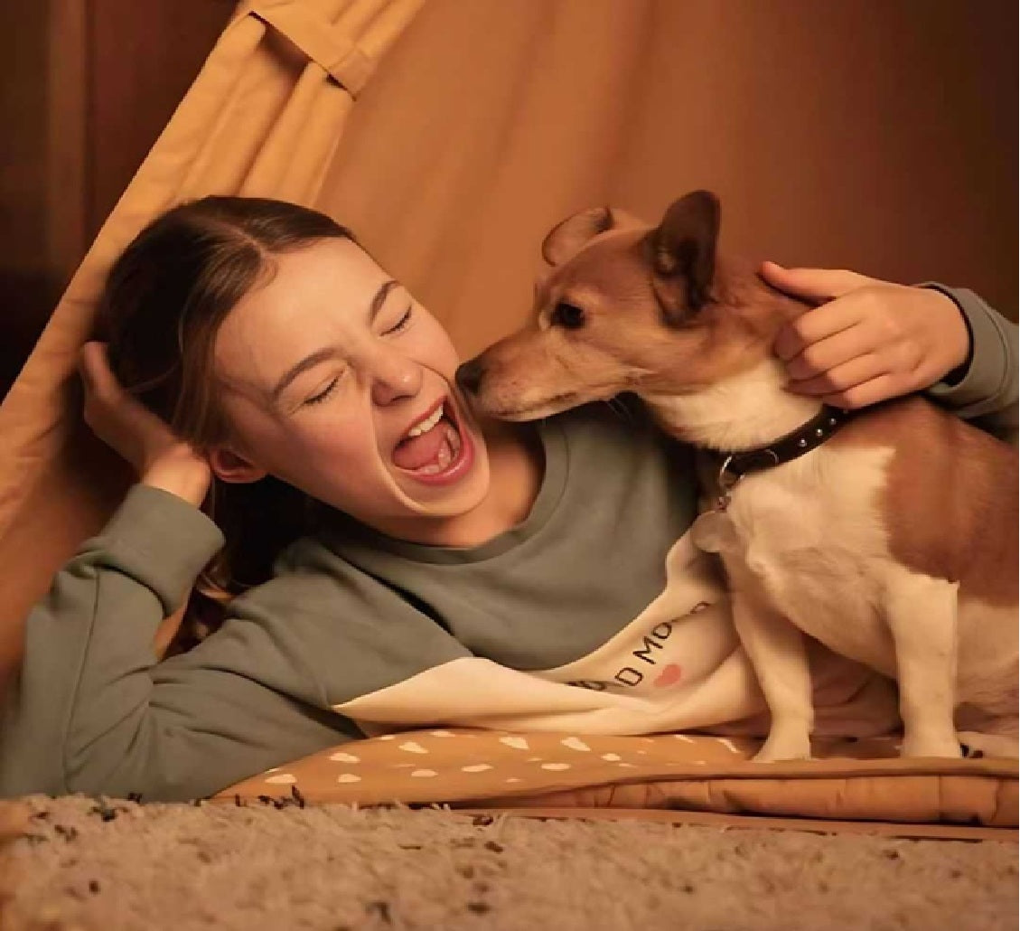 PRO-NUTRITION Prestige Dog Adult Mini - 3kg