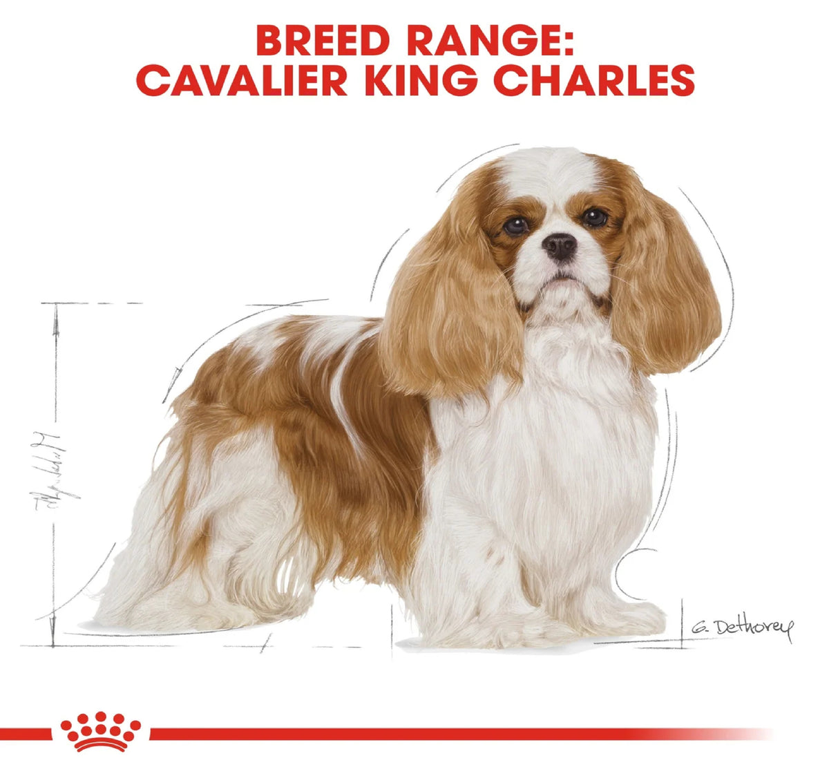 ROYAL CANIN Breed Health Nutrition Cavalier King Charles Adult 1.5 kg