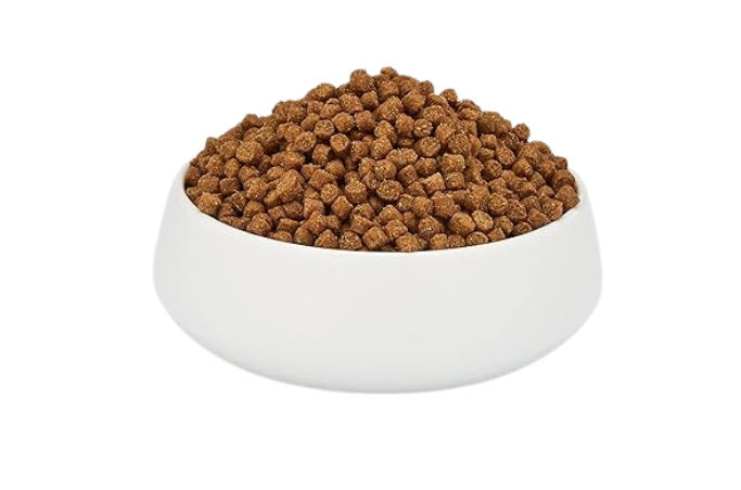 SCHESIR Cat Dry Food - Maintenance with Chicken - Adult