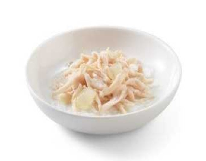 SCHESIR Cat Wet Food (Chicken Fillet with Aloe) in Jelly (for KITTEN) - 85grams