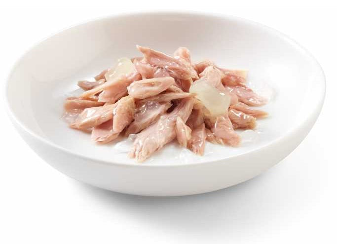 SCHESIR Cat Wet Food (Tuna with Aloe) in Jelly (for KITTEN) - 85grams