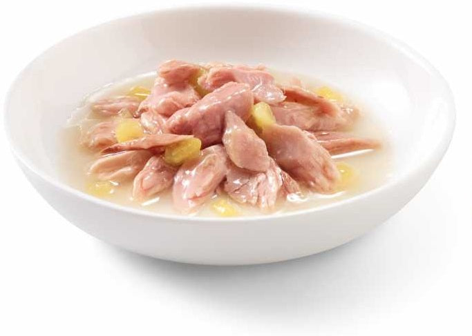 SCHESIR Cat Wet Food (Tuna with Mango) in cooking water - 75grams
