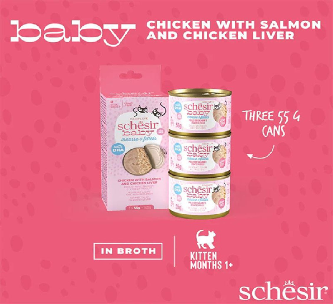 SCHESIR Baby Cat Can Multipack Mousse & Fillets - Chicken With Salmon & Chicken Liver 165g (3 Cans x55g)