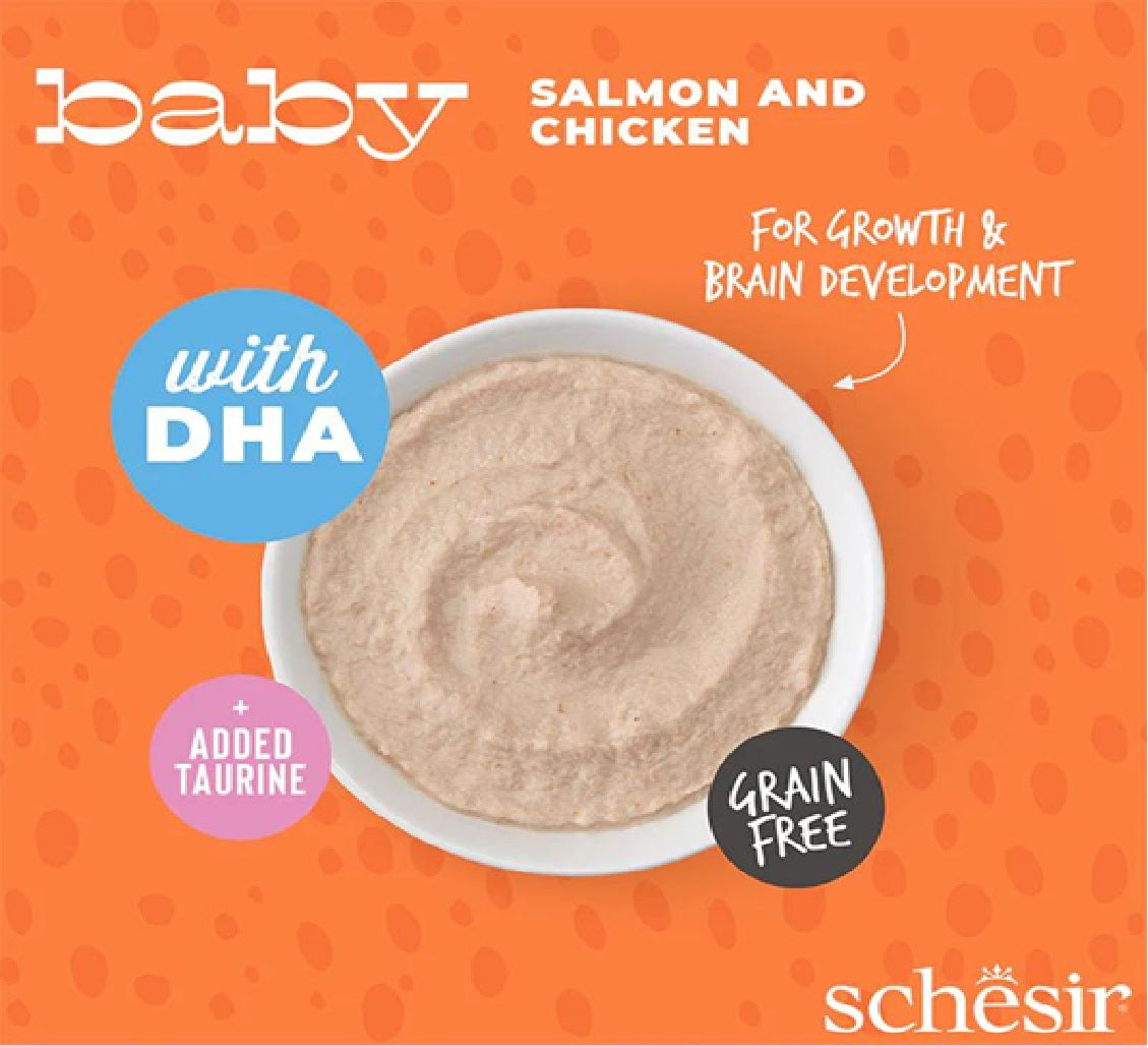 SCHESIR Baby Mousse Kitten - Salmon And Chicken 70g