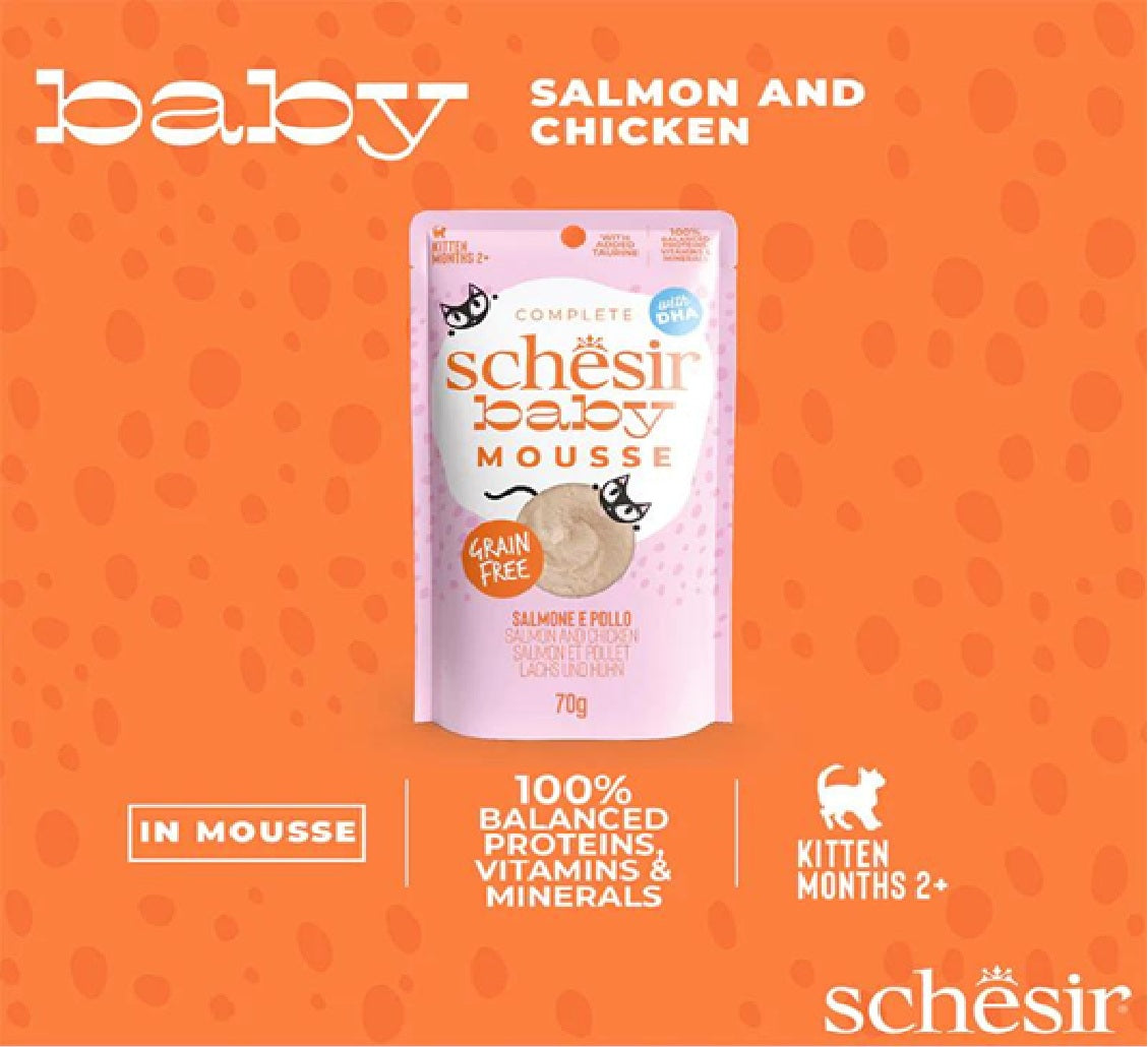 SCHESIR Baby Mousse Kitten - Salmon And Chicken 70g