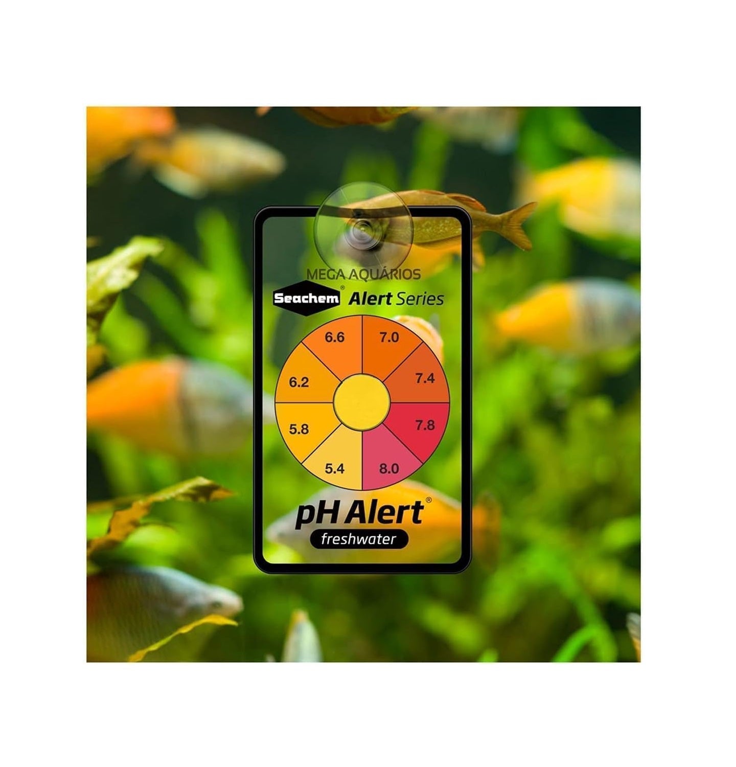 SEACHEM Alert Combo (Ammonia and pH alert)
