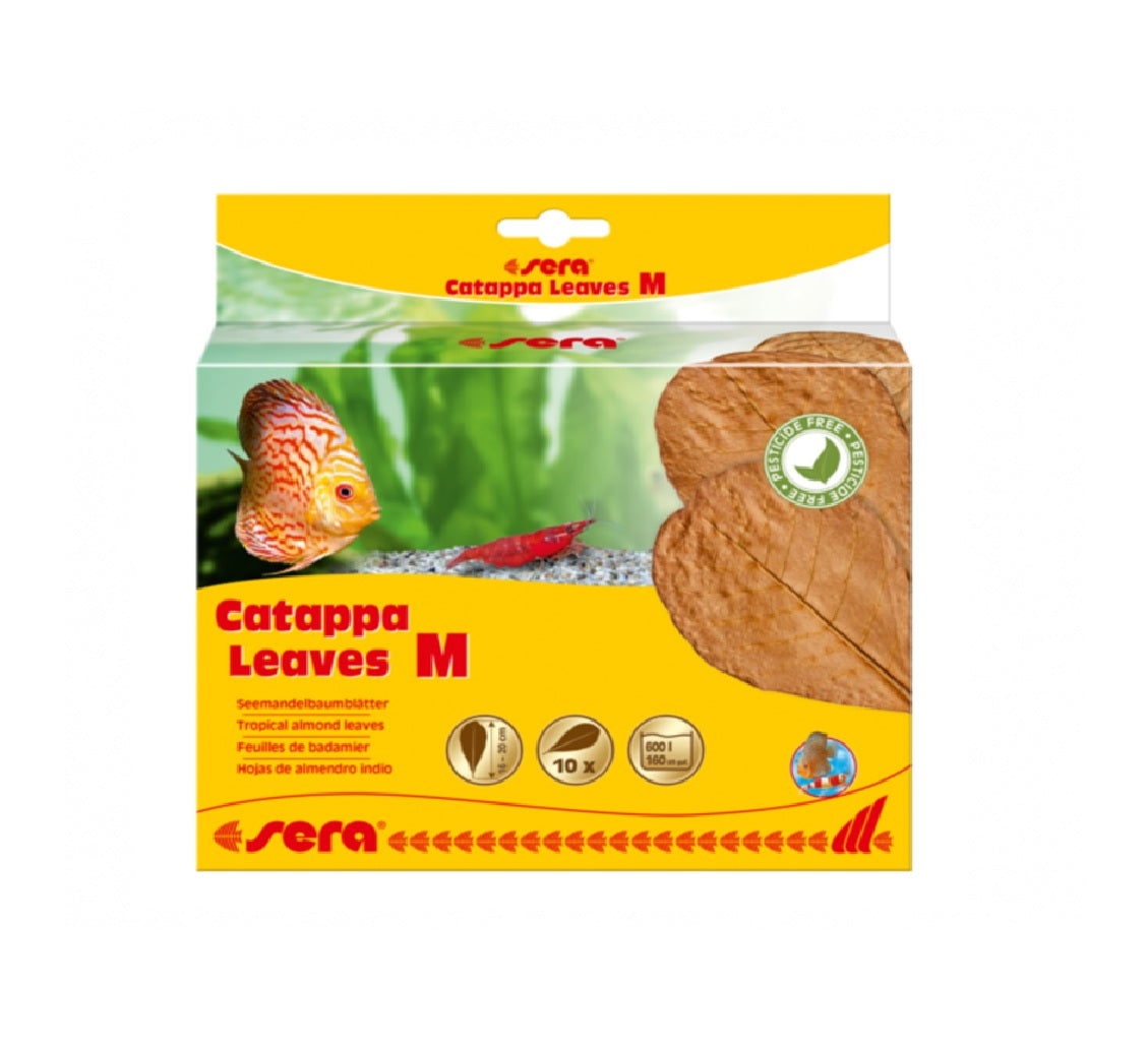 SERA Catappa Leaves (10pcs leaves)