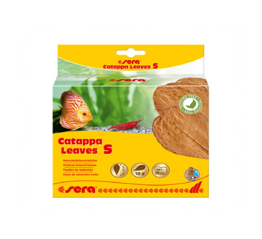 SERA Catappa Leaves (10pcs leaves)