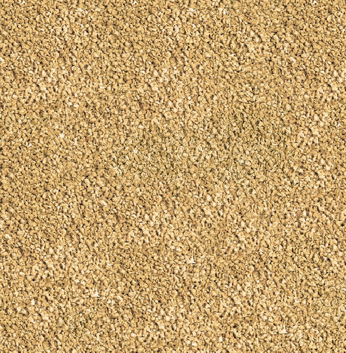 SERA Betta Granules 50 ml