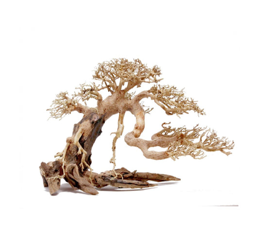 SV Bonsai Wood (Small and Large)
