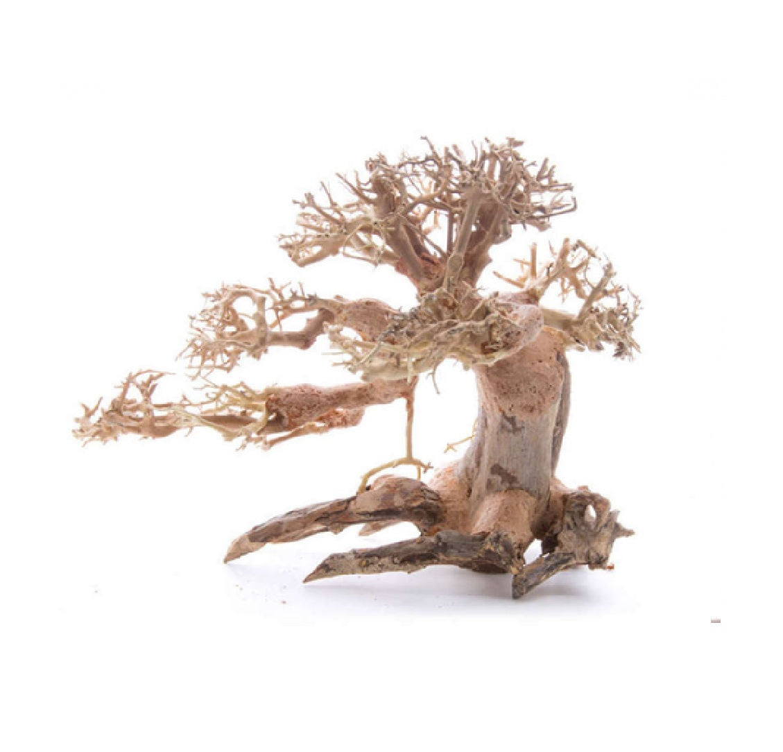 SV Bonsai Wood (Small and Large)