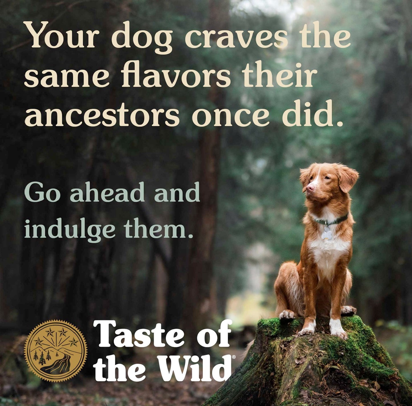 TASTE of the WILD High Prairie Canine Recipe