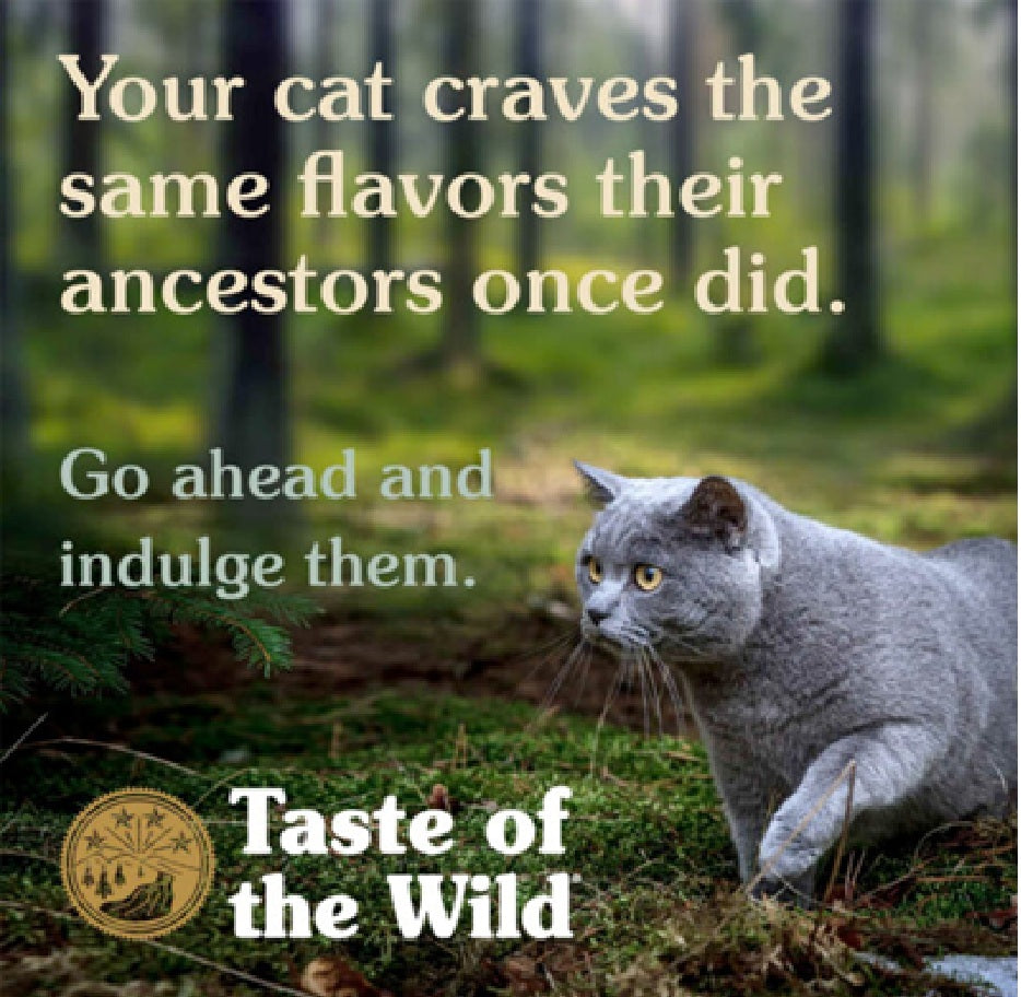 TASTE of the WILD Rocky Mountain Feline Recipe - 85g