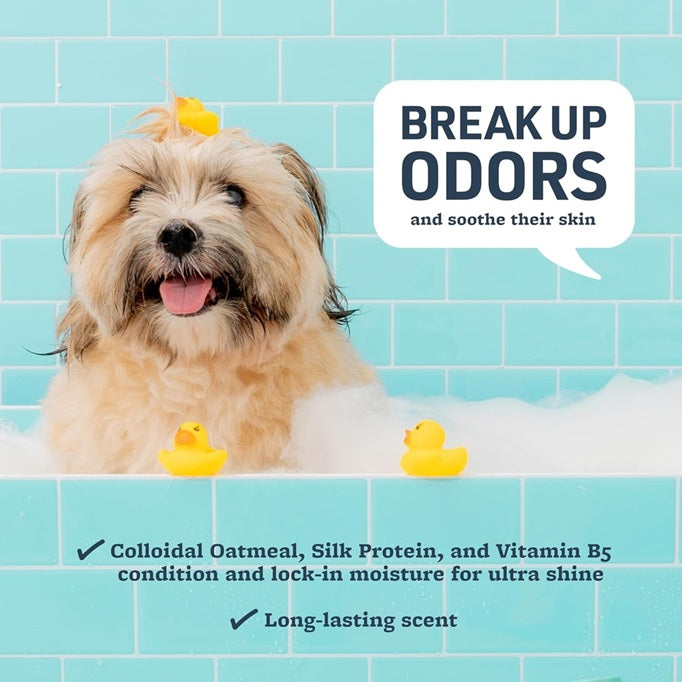 VETERINARY FORMULA Soothing and Deodorizing Oatmeal Shampoo - 503mL