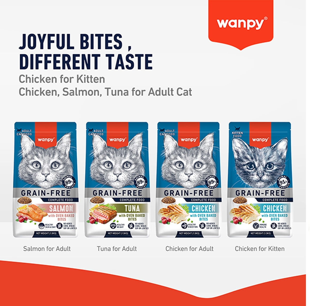 WANPY Grain Free Complete Food for Adult Cat – Salmon Recipe