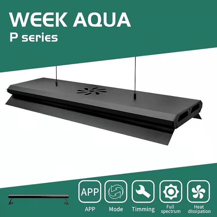WEEK AQUA Pandora Series