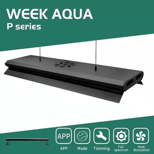 WEEK AQUA Pandora Series