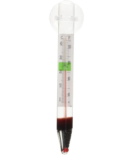 BOYU Glass Thermometer