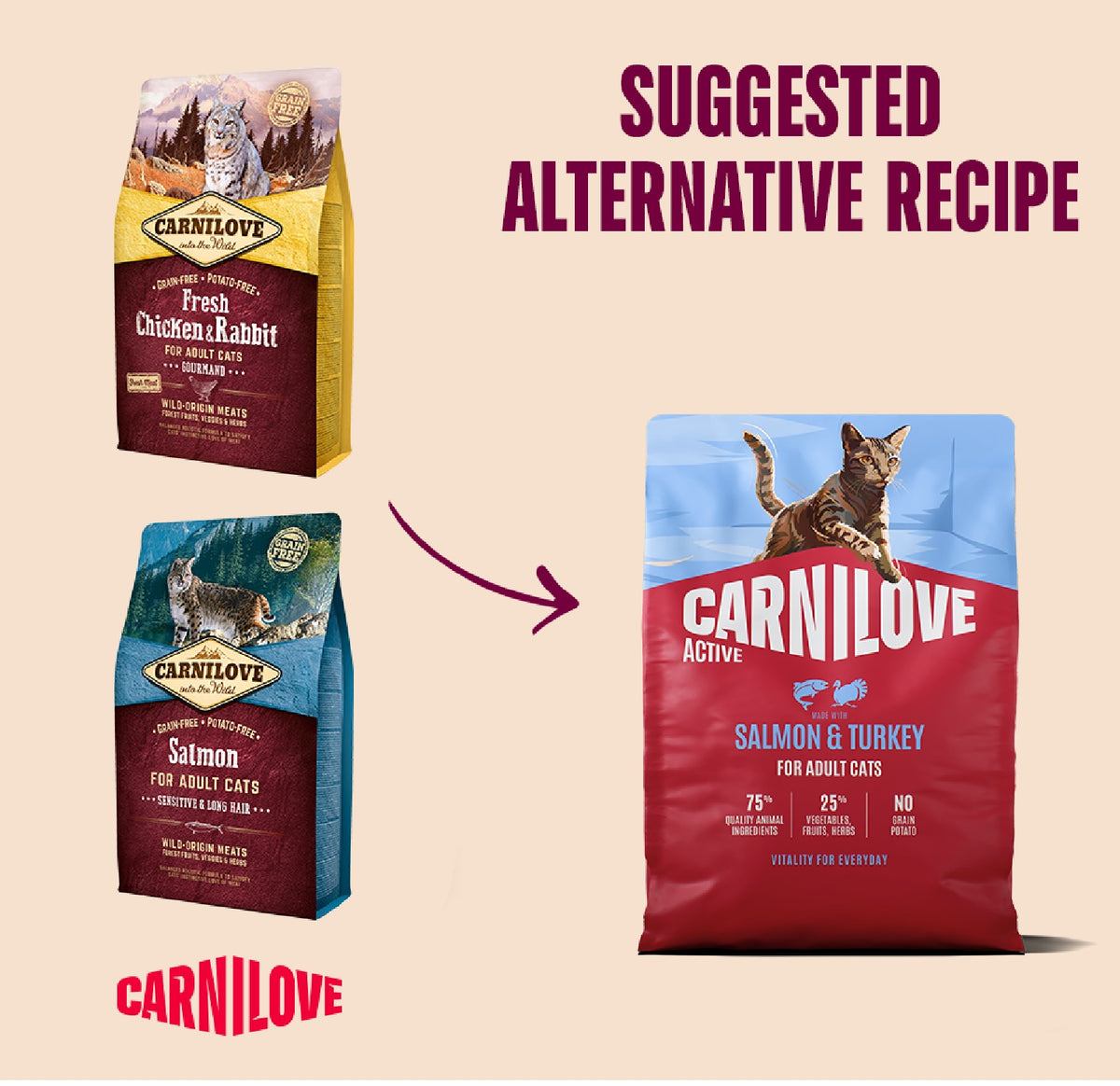 CARNILOVE Active Salmon & Turkey for Adult All Breeds Dry Cat Food