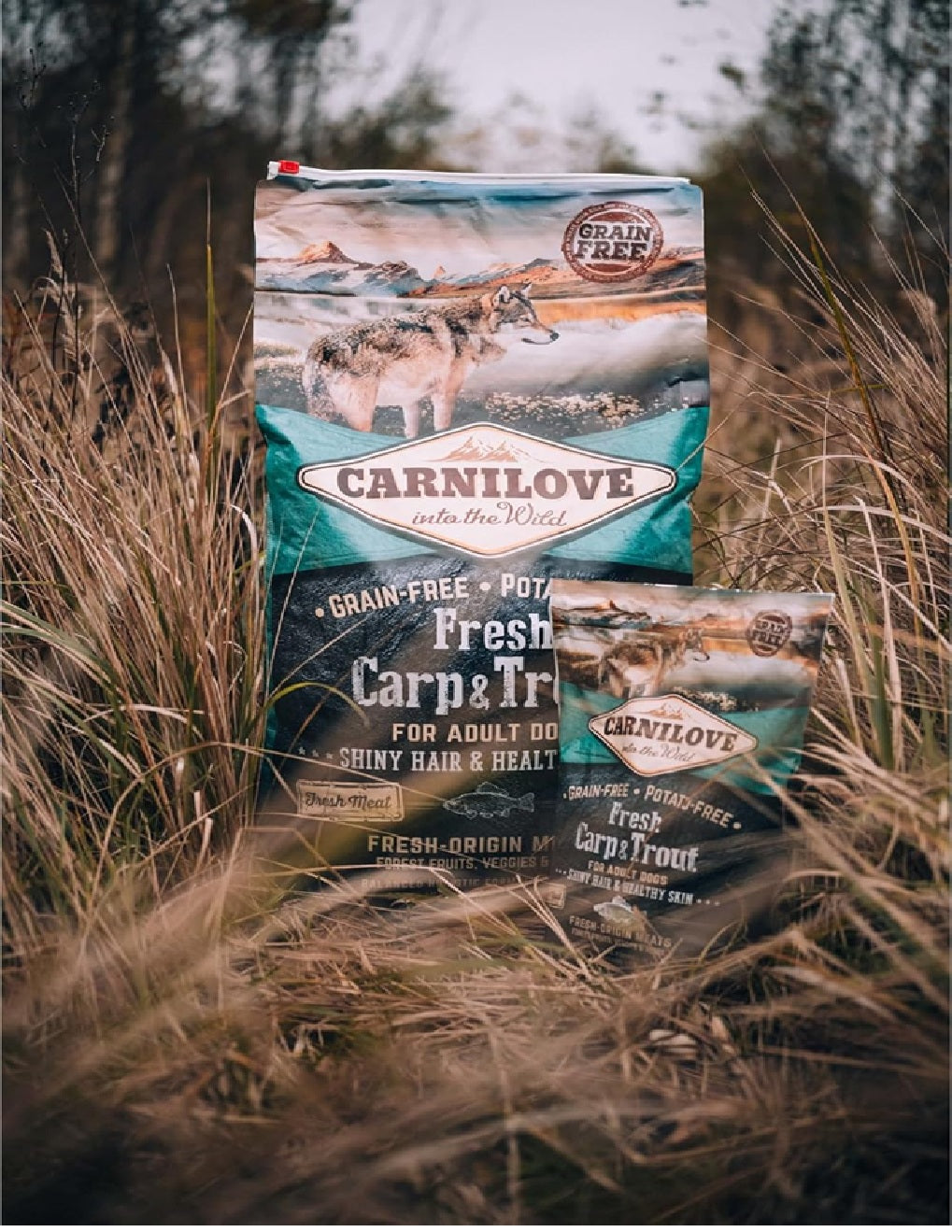 CARNILOVE Fresh Carp & Trout for Adult Dogs