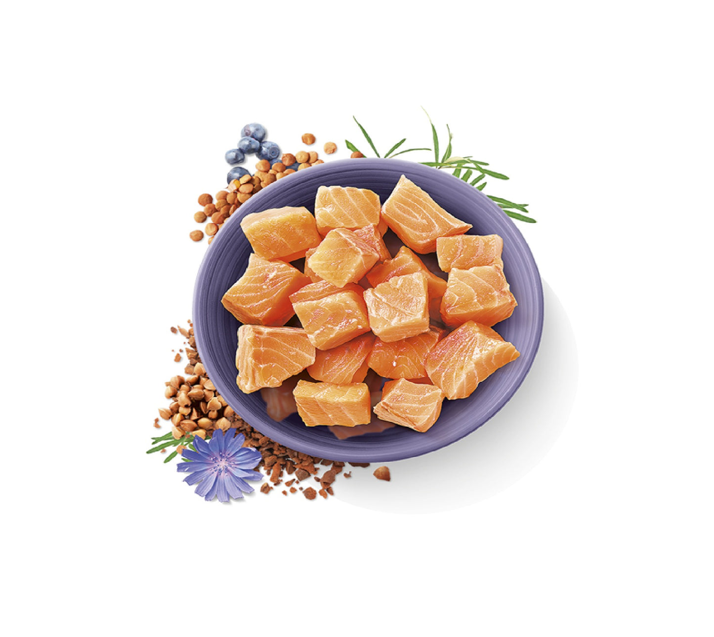 CARNILOVE True Fresh Fish for Adult Cats