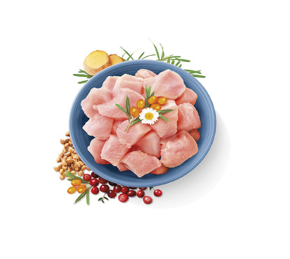 CARNILOVE True Fresh Turkey for Adult Cats