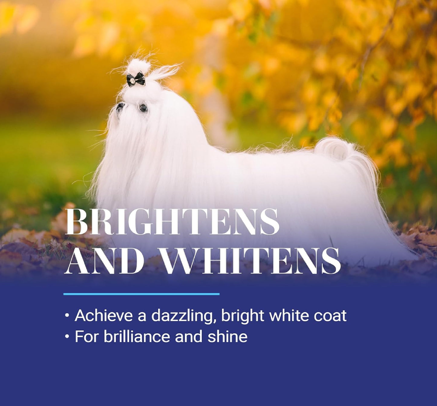 CHRIS CHRISTENSEN White on White - 473mL