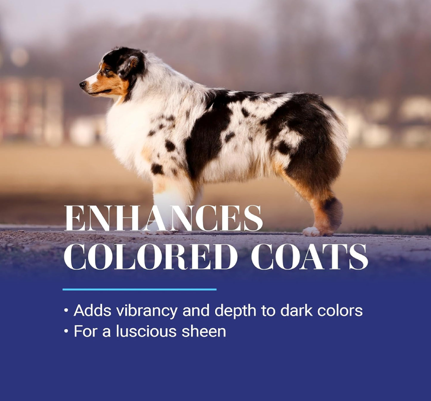 CHRIS CHRISTENSEN White on White - 473mL