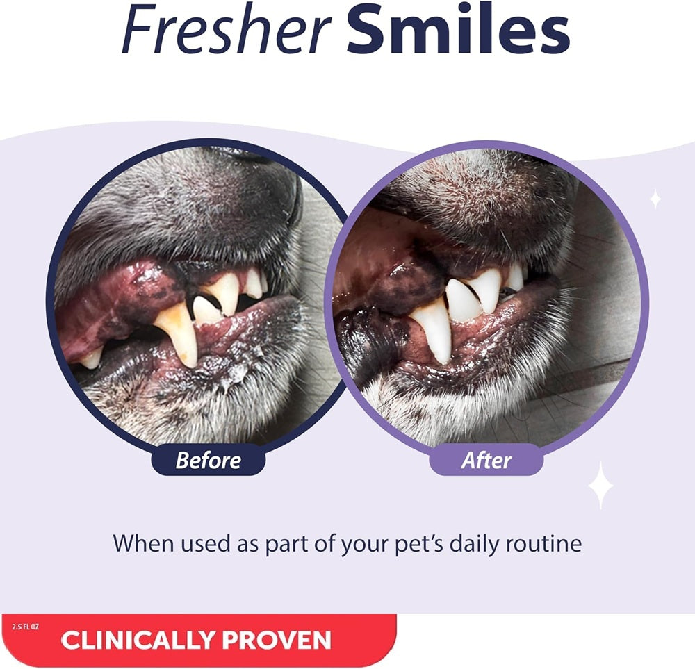DENTAL FRESH Enzymatic Gel for Dogs, Dog Toothpaste – Effectively Cleans Teeth – Eliminates Bad Breath and Reduces Dog Plague and Tartar