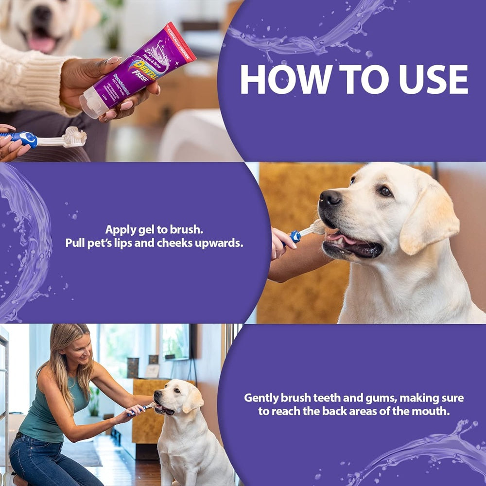 DENTAL FRESH Enzymatic Gel for Dogs, Dog Toothpaste – Effectively Cleans Teeth – Eliminates Bad Breath and Reduces Dog Plague and Tartar