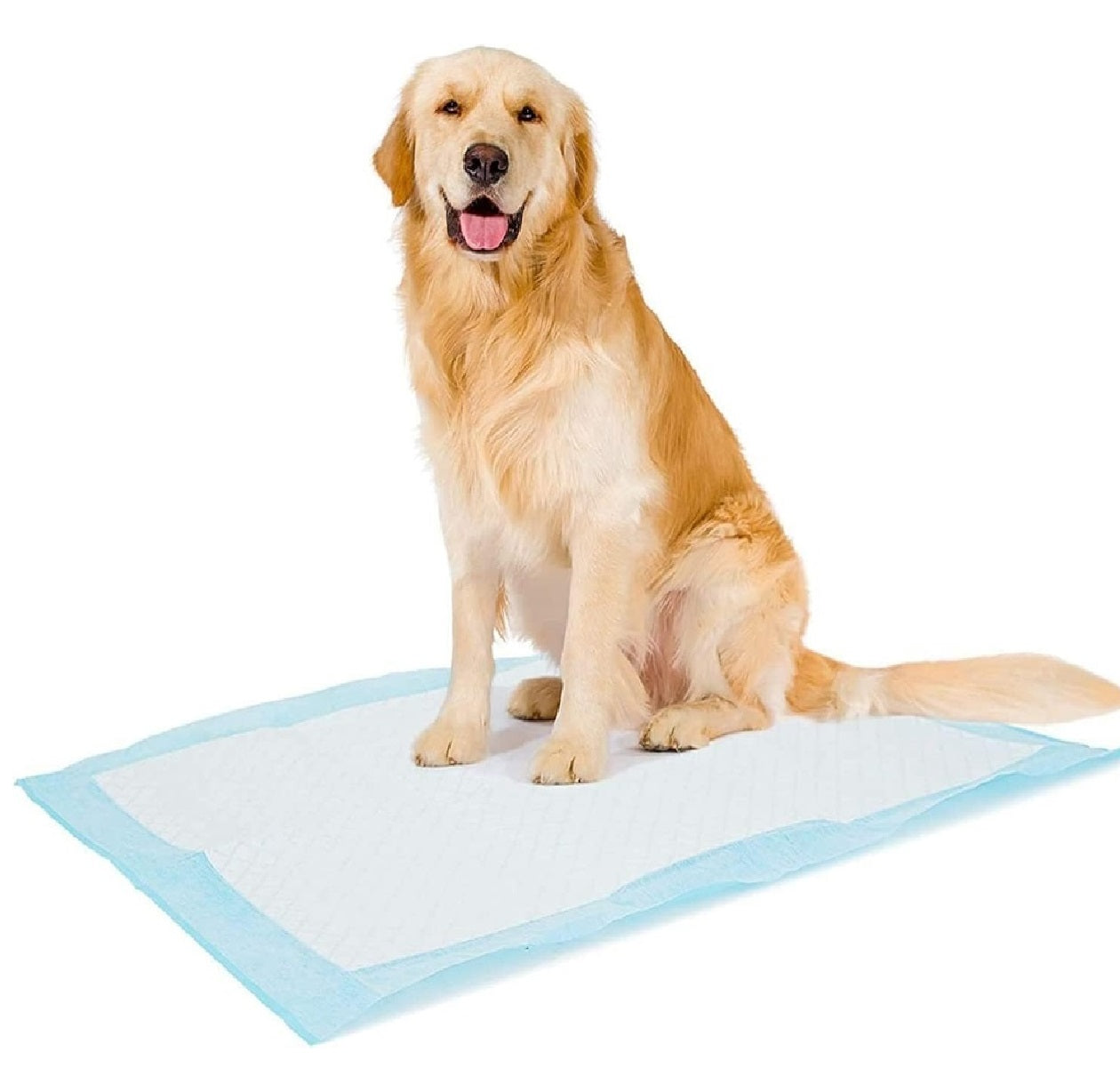 DUVO Plus Pet Pad Standard Month Pack XXL - 60x90cm (30pcs)